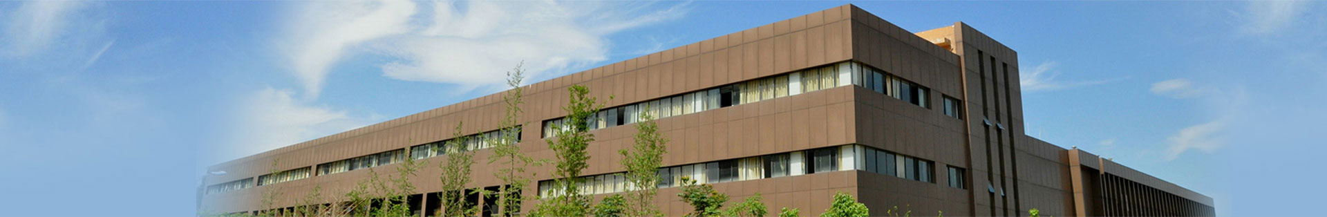 ����rb88���а�