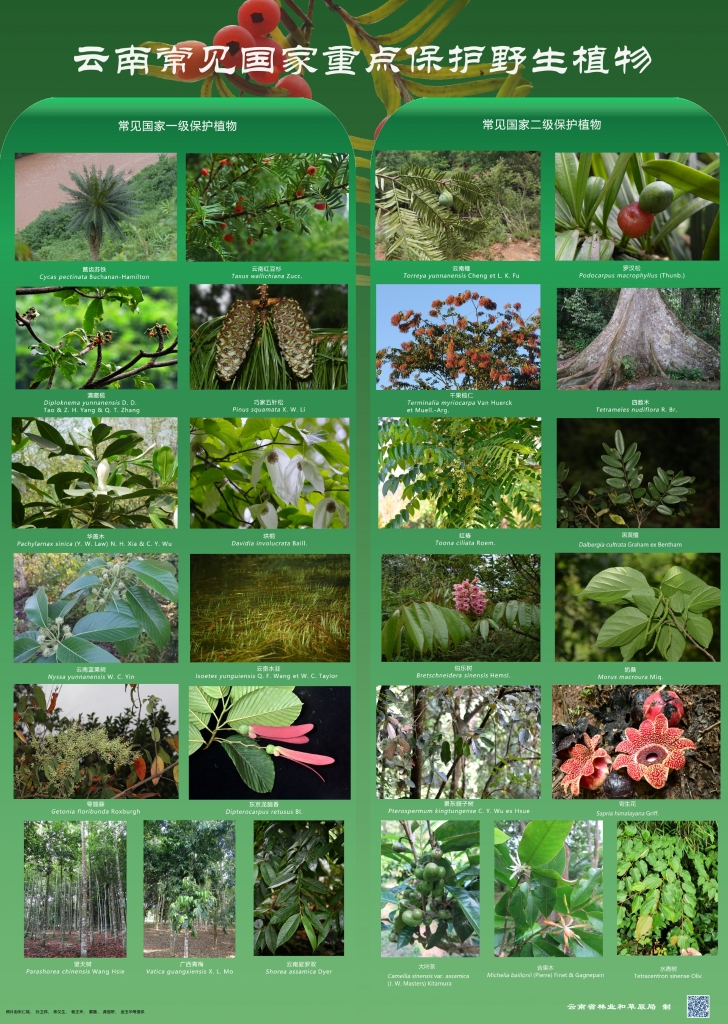 �԰��շ������չ��ȳ������ֲ����